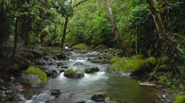Aerial Drone View of River in Costa Rica Rainforest Scenery, Beautiful Nature with Water Flowing Through the Jungle at Savegre, San Gerardo De Dota, Central America
