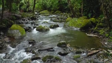 Aerial Drone View of River in Costa Rica Rainforest Scenery, Beautiful Nature with Water Flowing Through the Jungle at Savegre, San Gerardo De Dota, Central America
