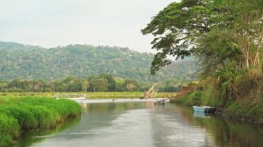 Costa Rica Tarcoles River Landscape, Beautiful Green Scenery while Moving Along and Traveling on a Tourist Boat Trip Tour Through Nature, Puntarenas Province, Central America