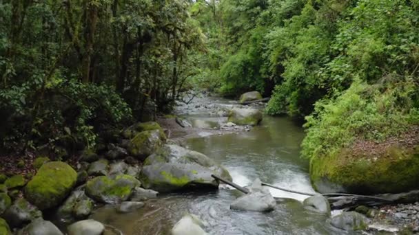 Aerial Drone View River Costa Rica Rainforest Scenery Beautiful Nature — Vídeo de Stock