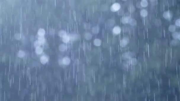 Rain Close Raining Rainy Season Tropical Rain Storm Horrible Wet — Vídeo de Stock
