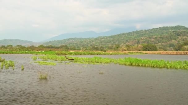 Costa Rica Tarcoles River Mountains Landscape Beautiful Green Scenery River — Stock Video