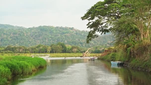 Costa Rica Tarcoles River Landscape Beautiful Green Scenery While Moving — Αρχείο Βίντεο