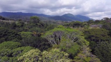 High Aerial Drone View of Rainforest and Mountains in Costa Rica, Tropical Jungle Landscape Scenery Ballena Marine National Park (Parque Nacional Marino Ballena), Puntarenas Province