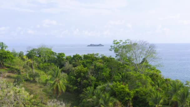 Pemandangan Drone Udara Hutan Hujan Dan Samudera Pantai Pasifik Kosta — Stok Video