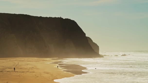 Aerial Drone Shot People Walking Dog Praia Grande Sandy Beach — Stok video