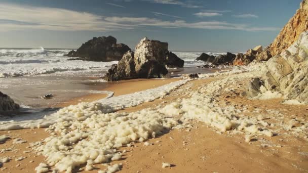 Sea Foam Aka Beach Foam Ocean Foam Spume Sandy Beach — Stockvideo