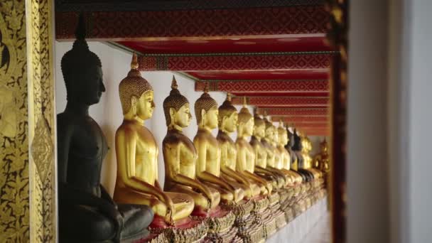 Gold Buddha Statues Bangkok Famous Thailand Buildings Line Lots Buddhist — Video Stock