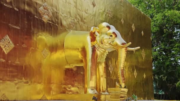 Gold Leaf Elephant Statue Buddhist Temple Chiang Mai Thailand Wat — Wideo stockowe