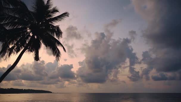 Thailand Koh Samui Palm Tree Sunset Dramatic Clouds Horizon Ocean — стоковое видео