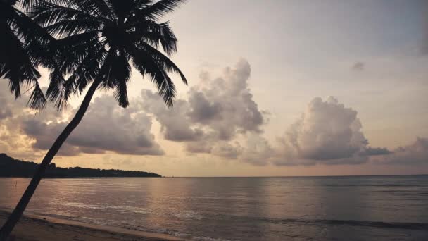 Thailand Koh Samui Palm Tree Sunset Dramatic Clouds Horizon Ocean — ストック動画