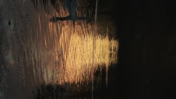 Vertical Wildlife Video Swans Silhouetted Lake Swimming Orange Water Reflections — Αρχείο Βίντεο