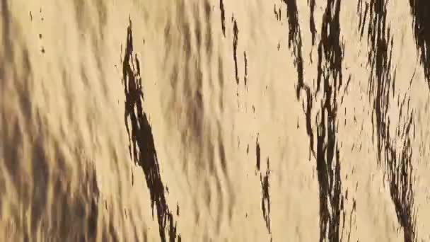 Vertical Background Video Flowing Water Nature Abstract Ripples Orange Sunset — Vídeo de stock