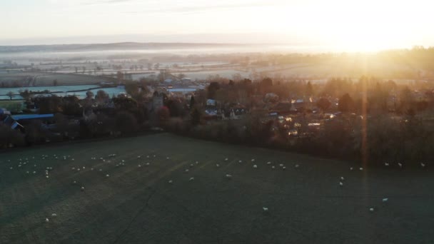 Aerial Drone Video Typical English Countryside Fields Sheep Village Beautiful — Vídeo de stock