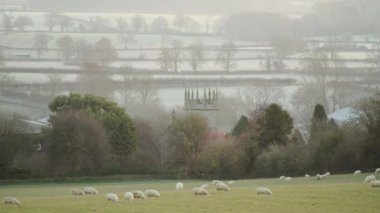Flock of sheep in a green field, rural countryside scenery on a misty sunrise with beautiful sunlight and a church building, typical English scene of British landscape in The Cotswolds, England, UK