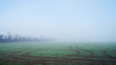 Field and farmland in misty foggy weather, rural countryside scene of a farm in thick fog and mist, agriculture industry farming background of landscape scenery with copy space, England, UK