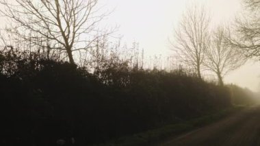 Rural narrow countryside road in thick fog and mist, dangerous bad driving conditions in foggy misty weather on English roads in winter with bare trees at sunrise, back lanes street in England, UK