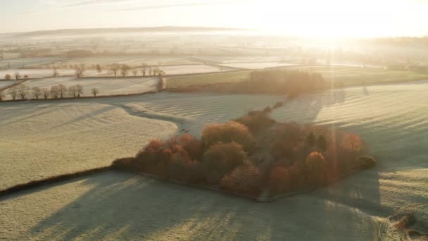 Aerial Drone Video Rural Countryside Landscape Scenery Orange Autumn Trees — 图库视频影像