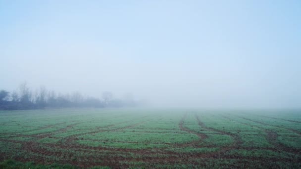 Field Farmland Misty Foggy Weather Rural Countryside Scene Farm Thick — ストック動画