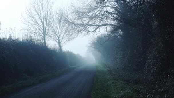 Rural Narrow Countryside Road Thick Fog Mist Dangerous Bad Driving — стокове відео