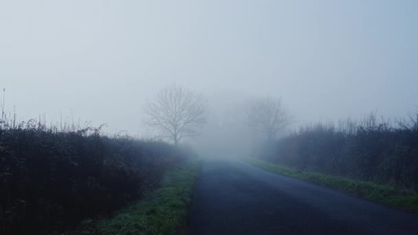 Rural Narrow Countryside Road Thick Fog Mist Dangerous Bad Driving — Stock video