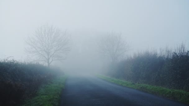 Rural Narrow Countryside Road Thick Fog Mist Dangerous Bad Driving — Wideo stockowe
