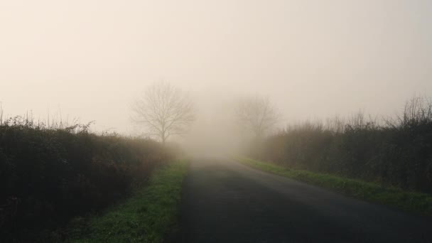 Rural Narrow Countryside Road Thick Fog Mist Dangerous Bad Driving — 图库视频影像