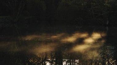 Mist moving on a lake in sunlight with beautiful orange reflections and sunshine shining on the misty rural countryside scene of lakes and trees, English nature and landscape scenery