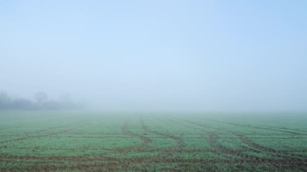 Agriculture Background Copy Space Field Farmland Misty Foggy Weather Rural — Video