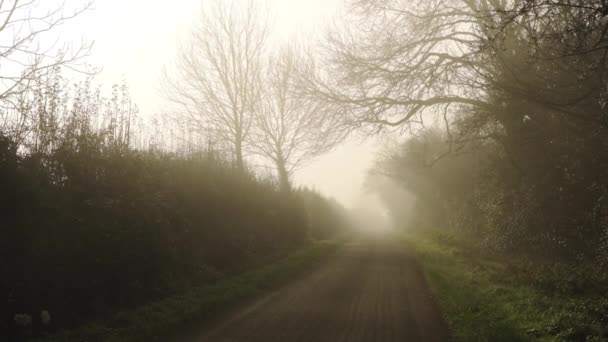 Rural Narrow Countryside Road Thick Fog Mist Dangerous Bad Driving — Stock video