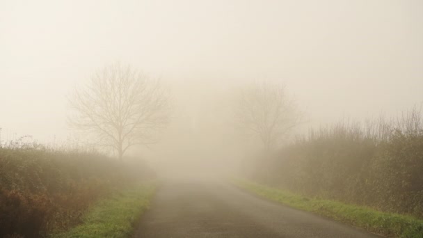 Rural Narrow Countryside Road Thick Fog Mist Dangerous Bad Driving — Stockvideo