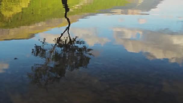 Water Ripple Lake Reflection Tree Silhouette High Angle Static View — Video