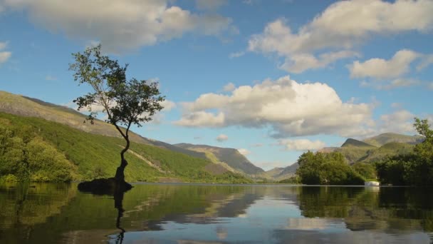 Magnificent Welsh Mountains Lone Tree Bright Blue Sky White Clouds — Video Stock
