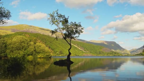 Lake Reflection Summer Vibrant Colors Llyn Padarn Snowdonia National Park — Stock Video