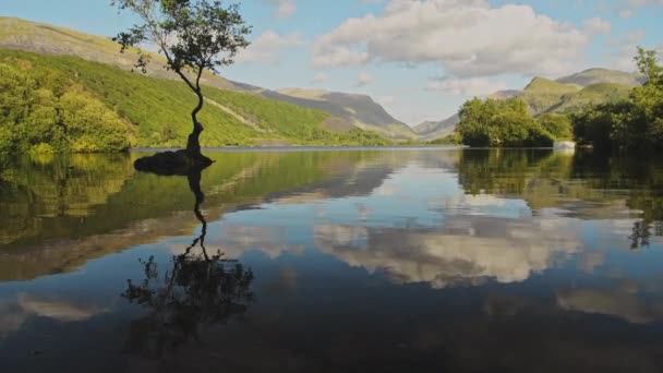 Clouds Reflecting Lakes Surface Beautiful British Landscape Reflections Lone Tree — Vídeo de Stock