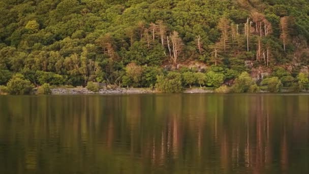 Lush Green Forest Mountain Lake Llyn Padarn Snowdonia National Park — Stockvideo