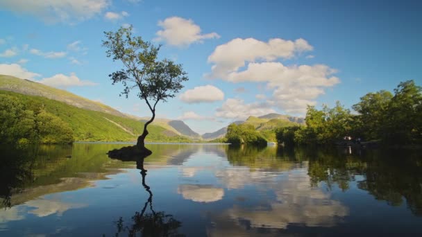 Picture Post Card Perfect Landscape Scenery Llyn Padarn Lake Lone — ストック動画