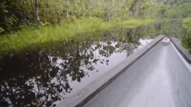 View from a typical canoe on a flowing river when exploring the Amazon rainforest, Ecuador