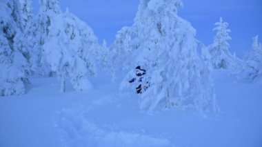 Hiking through the thick white snow of Lapland, Finland - wide shot