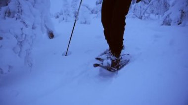 Man hiking with snow shoes in a frozen forest, in Lapland, Finland, on a moody day