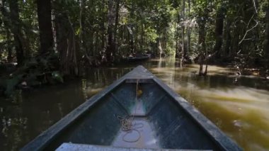 Traveling on the beautiful Amazon River in Peru - wide shot