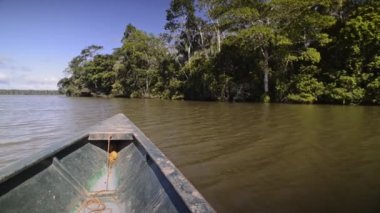 View from a canoe on the Amazon river, through the rainforest, Peru