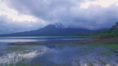 White Cranes and Arenal Volcano at Arenal Lake, Costa Rica. Aerial drone view
