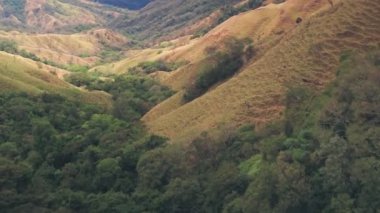Rainforest scenery at Monteverde Cloud Forest, Costa Rica. Aerial drone view