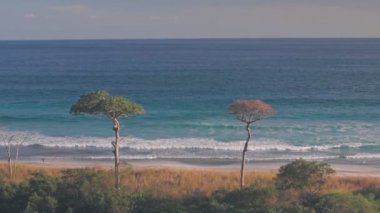 White sandy beach near Nosara, Guanacaste, Costa Rica. Aerial drone view