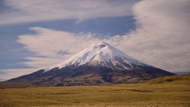 Landscape View Cotopaxi Volcano Snow Capped Peak Ecuador — Vídeos de Stock