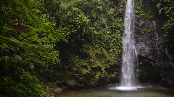 Stunning Waterfall Surrounded Green Plants Rocks Mashpi Cloud Forest Ecuador — стокове відео