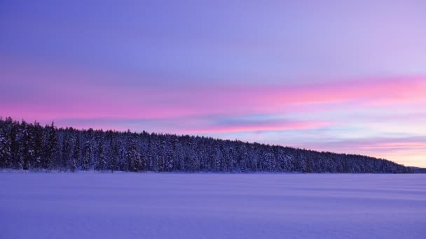 Misty Magical Snow White Landscape Lapland Finland Purple Sky Wide — ストック動画