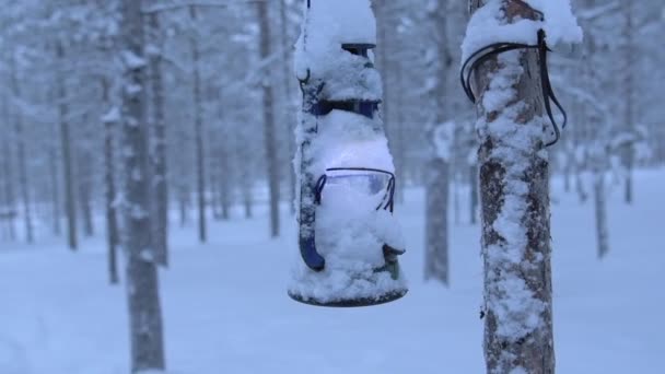 Lantern Covered Snow Hanging Tree Snow Capped Forest Lapland Finland — 图库视频影像