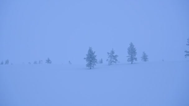 Sub Arctic Wilderness Foggy Weather Region Lapland Finland — Αρχείο Βίντεο